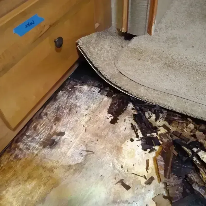 Wood Floor Water Damage in Pearl Beach, MI